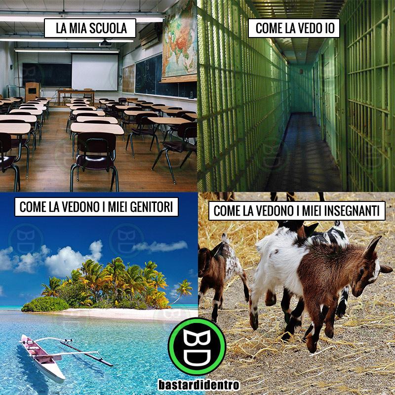 I punti di vista della scuola, immagini e vignette divertenti